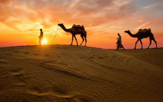 Thar Desert Safari Sam Dunes